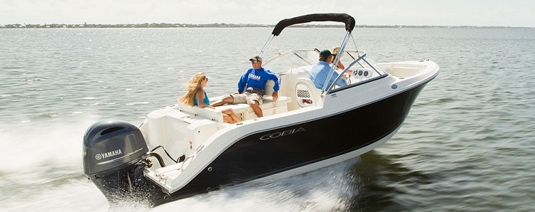 Cobia 220